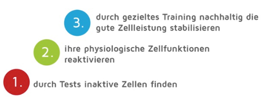 3 Schritte
